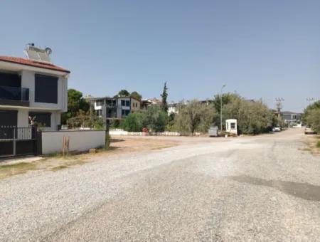 650 M Zum Meer Land Zum Verkauf - 3,200,000 Tl - Didim Sagtur Land Zum Verkauf, Land Zum Verkauf In Didim